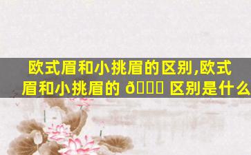 欧式眉和小挑眉的区别,欧式眉和小挑眉的 🍀 区别是什么